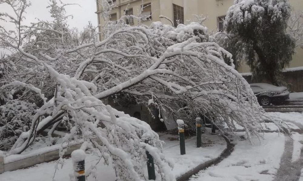 Έγγραφο του ΔΕΔΔΗΕ εκθέτει τους δημάρχους για την κακοκαιρία «Μήδεια»